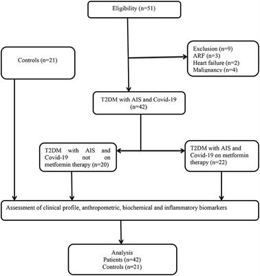 COVID-19 and Risk of Acute Ischemic Stroke and Acute Lung Injury in Patients With Type II Diabetes Mellitus: The Anti-inflammatory Role of Metformin